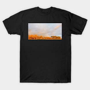 Rare autumn rainbow T-Shirt